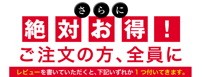 おぼろ 鯖寿司 鯖すし さば寿司 さばすし 